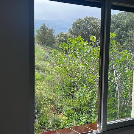 Apartaments La Pertusa 2O Corca  Екстер'єр фото